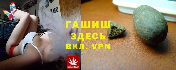 стаф Инта