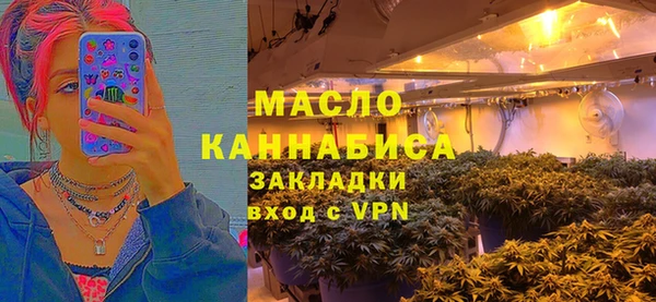 ПСИЛОЦИБИНОВЫЕ ГРИБЫ Инсар