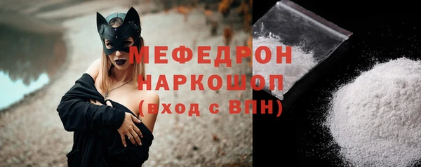 стаф Инта