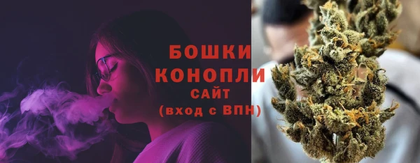 ПСИЛОЦИБИНОВЫЕ ГРИБЫ Инсар