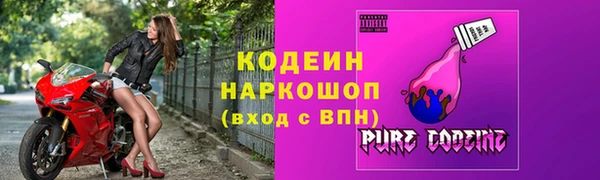 стаф Инта