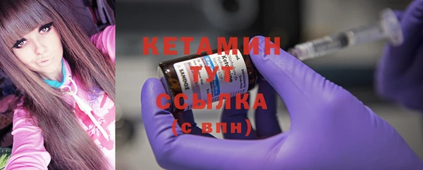 стаф Инта