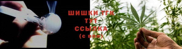 стаф Инта