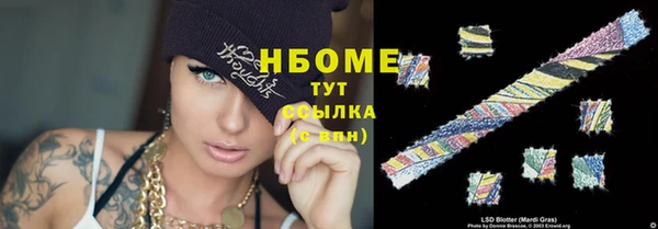 стаф Инта