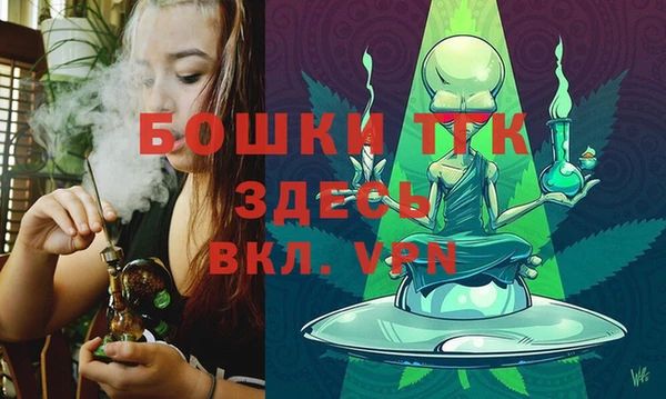 ПСИЛОЦИБИНОВЫЕ ГРИБЫ Инсар