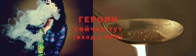 стаф Инта