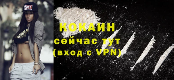 стаф Инта