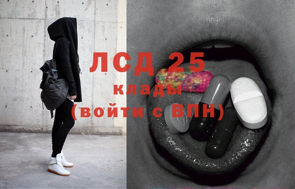 ПСИЛОЦИБИНОВЫЕ ГРИБЫ Инсар