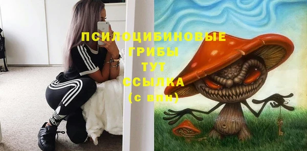ПСИЛОЦИБИНОВЫЕ ГРИБЫ Инсар