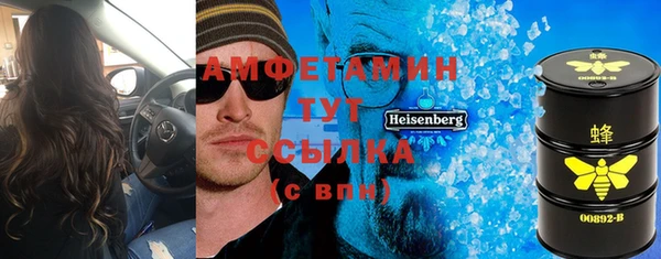 стаф Инта