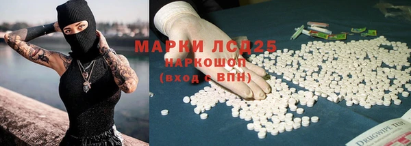 стаф Инта