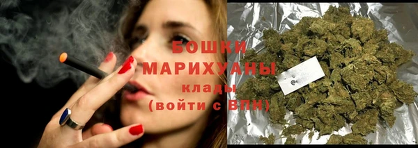 ПСИЛОЦИБИНОВЫЕ ГРИБЫ Инсар