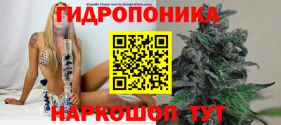 spice Краснознаменск